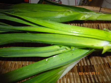 龍口新竹米粉：蒜苗炒米粉～香味無比