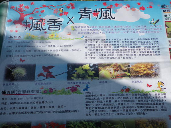 石門水庫風景區:桃園石門觀光節一日遊