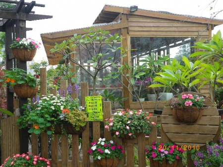 愛買花坊：鬧中取靜喝咖啡賞花情