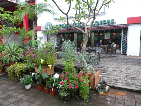 愛買花坊：鬧中取靜喝咖啡賞花情