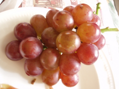 台西水果:葡萄˙櫻桃˙芒果˙我的最愛水果