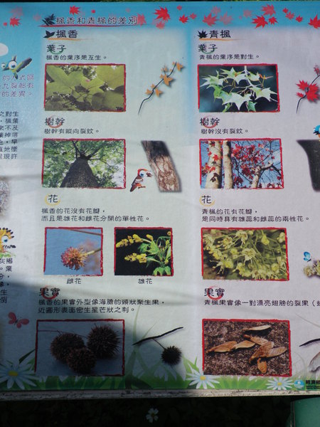 石門水庫風景區:桃園石門觀光節一日遊