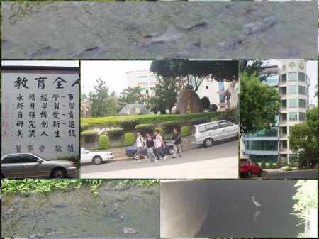 建國科技大學:建國科技大學-豪華又氣派