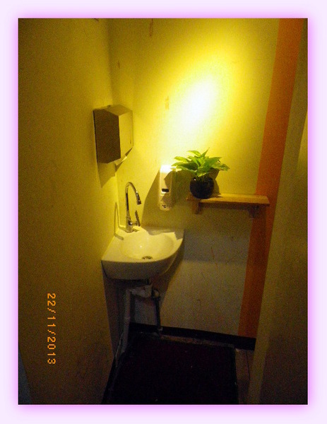 鼎讚活蝦料理:【鼎讚活蝦料理】鮮蝦的美味,甜在嘴裡˙樂在心裡