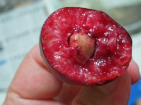 台西水果:葡萄˙櫻桃˙芒果˙我的最愛水果