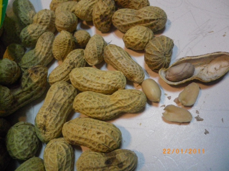 澎湖特產大蒜花生:香酥好嚼的蒜味花生