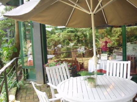 春天農場-春天香草廚房：椒麻雞腿排～拜託再辣一點