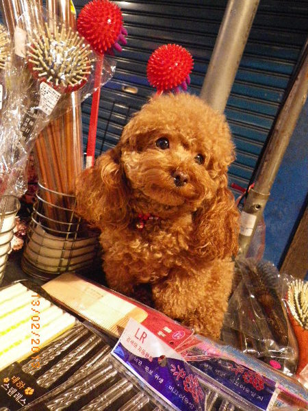 新竹內灣老街:年初四人擠人遊內灣