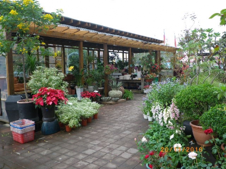 愛買花坊：鬧中取靜喝咖啡賞花情