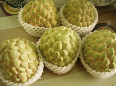 台西水果:葡萄˙櫻桃˙芒果˙我的最愛水果