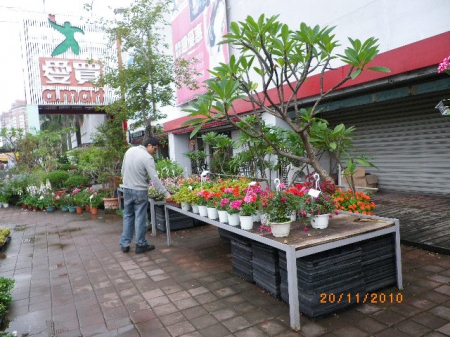 愛買花坊：鬧中取靜喝咖啡賞花情