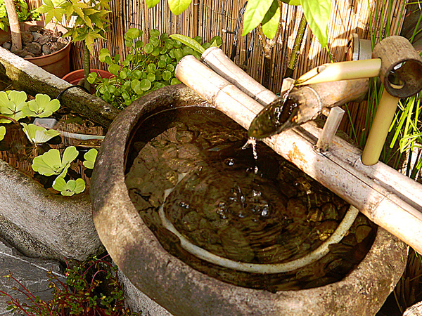 和茗甘味處門口 蹲踞