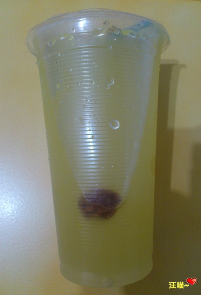 黃家現烤香腸:【銅板美食】烤不覆賣的 ★★ 黃家現烤香腸 & 佳鑫金桔檸檬★★