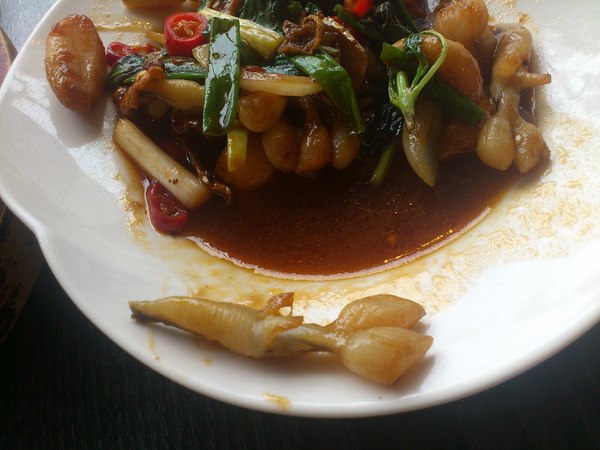 呷保庇:有呷有保庇的餐廳