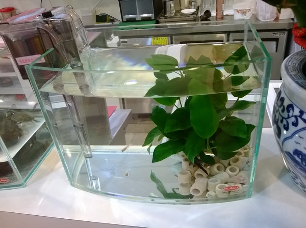 玻爾鬆餅(板橋莒光店):CP滿點!小巷中的比利時風情~玻爾列日~