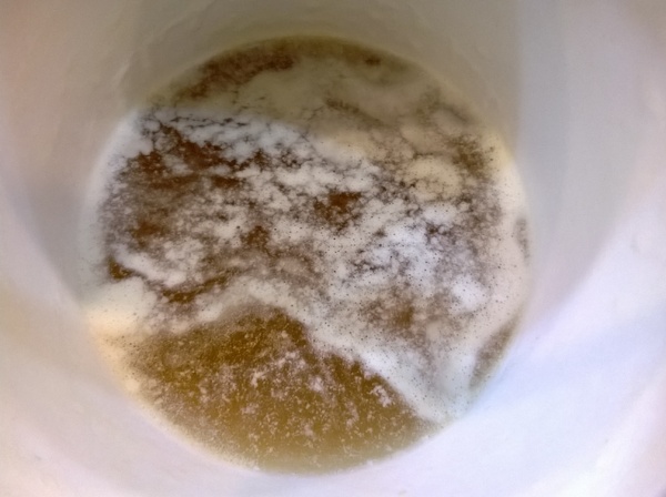 玻爾鬆餅(板橋莒光店):CP滿點!小巷中的比利時風情~玻爾列日~