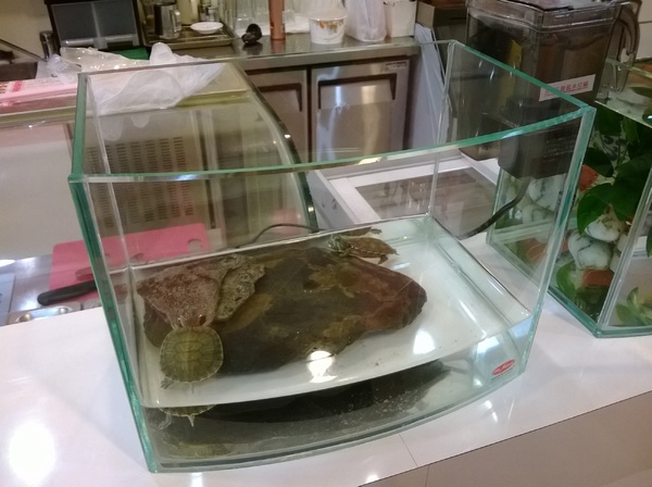 玻爾鬆餅(板橋莒光店):CP滿點!小巷中的比利時風情~玻爾列日~