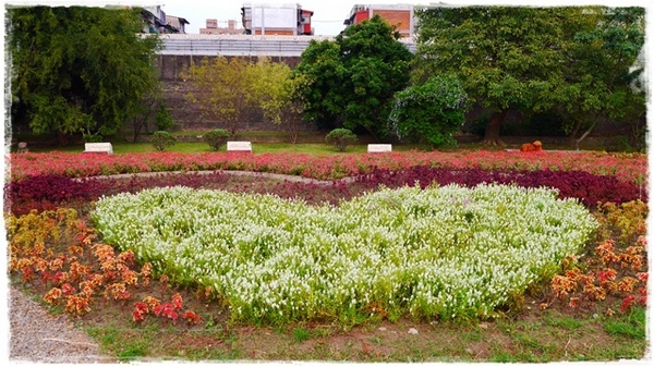 古亭河濱公園:【台北◍•ᴗ•◍情人節約會景點】景點・古亭河濱公園浪漫夜拍✯捷運公館站|婚紗造景主題公園,越夜越浪漫