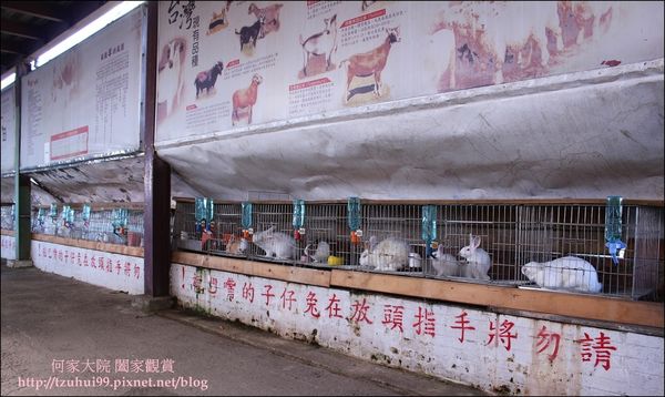 宜蘭可達羊場 25.JPG