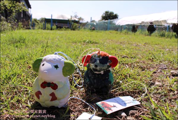 宜蘭可達羊場 45.JPG