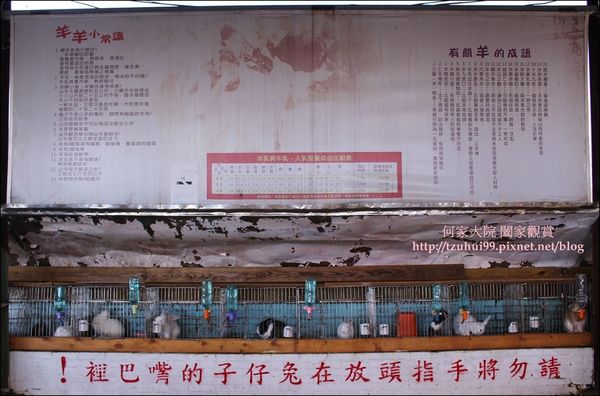 宜蘭可達羊場 26.JPG