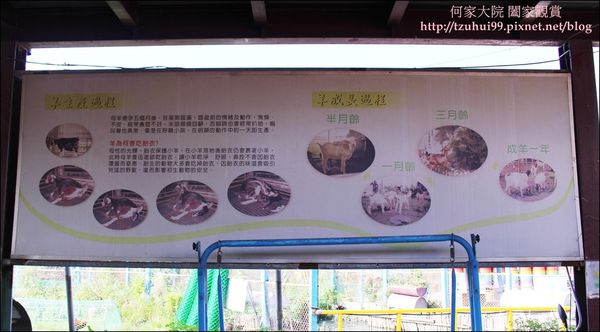 宜蘭可達羊場 27.JPG
