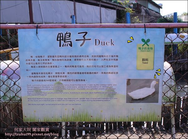 宜蘭可達羊場 22.JPG