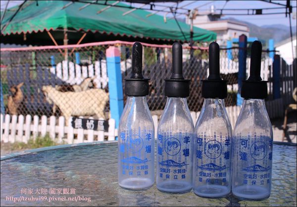 宜蘭可達羊場 18.JPG