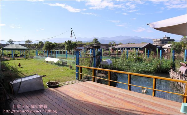 宜蘭可達羊場 12.JPG