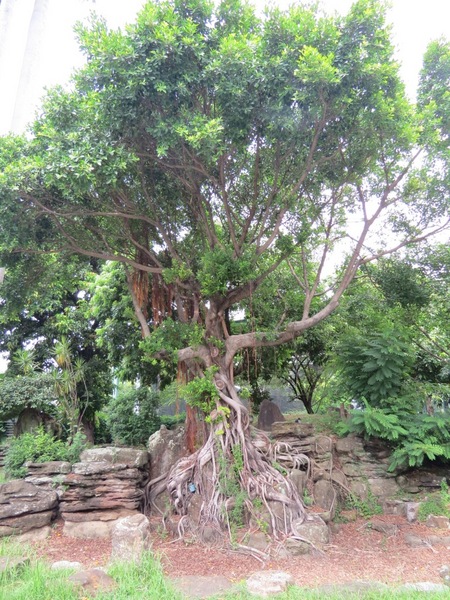 台中放送局：來放送局讓心靈放鬆的好地方【台中放送局】