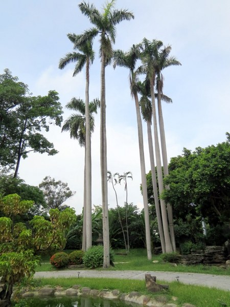 台中放送局：來放送局讓心靈放鬆的好地方【台中放送局】