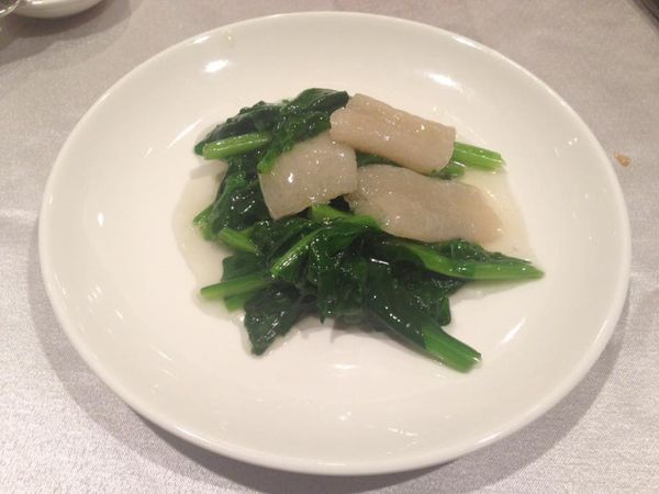 13466123_10207100928778576_7041425205357945964_n