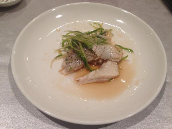 13435423_10207100928378566_8686218485993870617_n