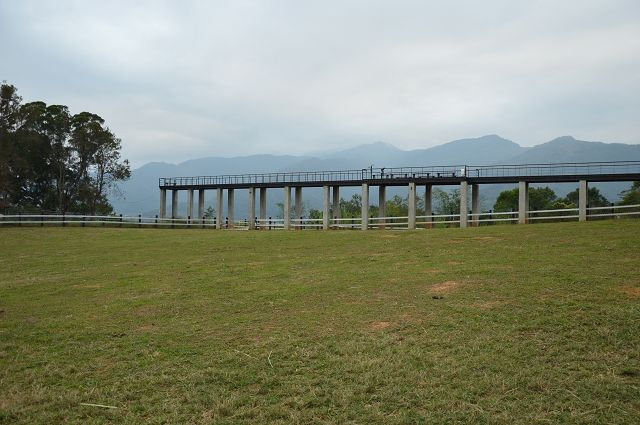 原生應用植物園15