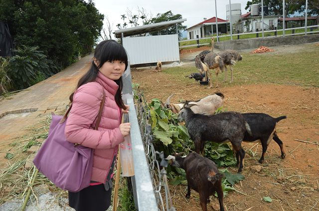 原生應用植物園28
