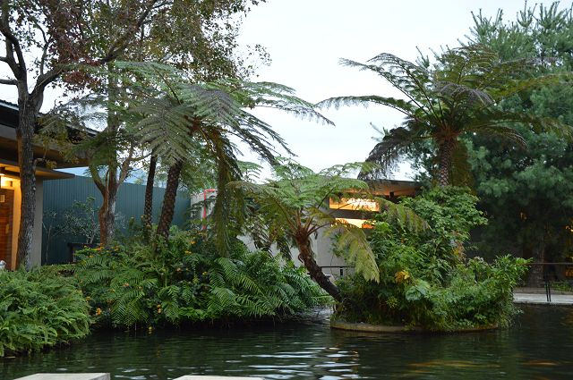 原生應用植物園36