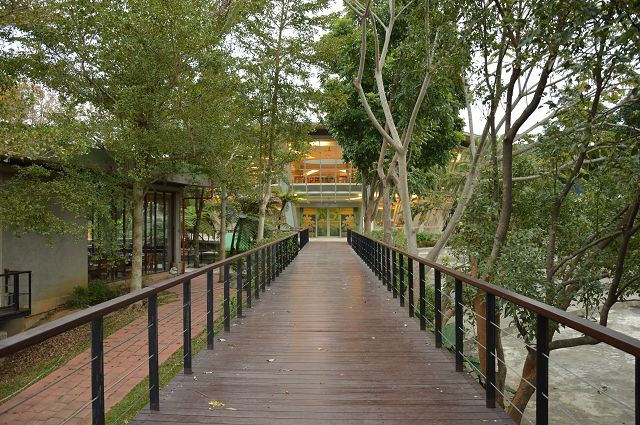 原生應用植物園22