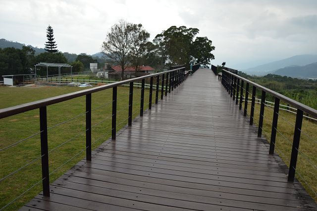 原生應用植物園17