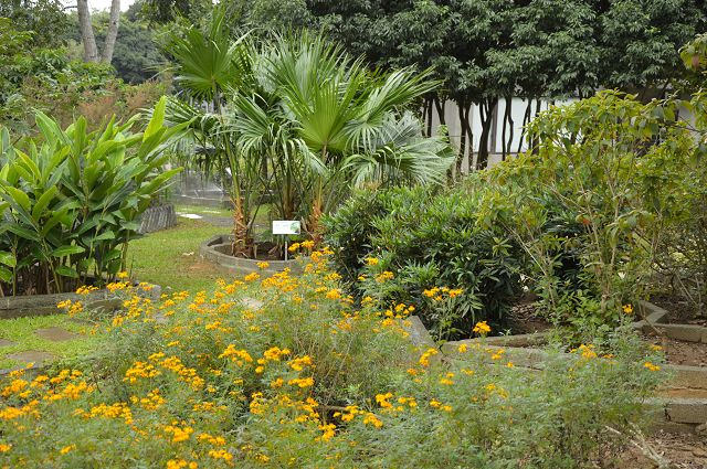 原生應用植物園07