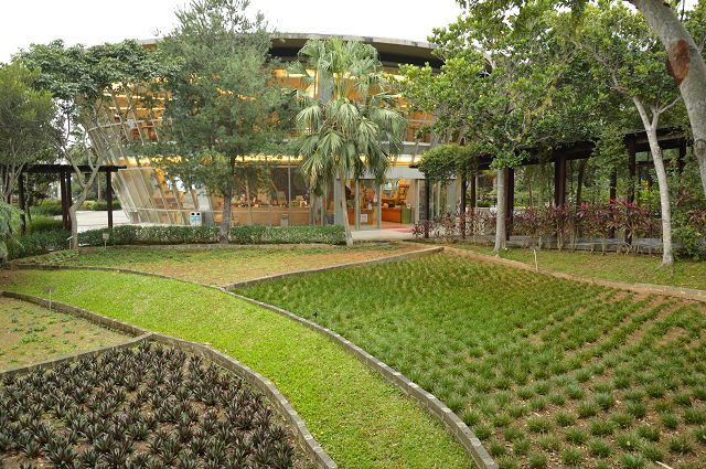 原生應用植物園04