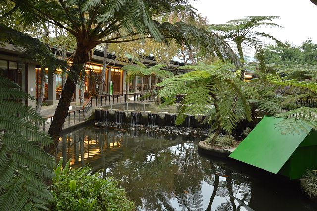 原生應用植物園13