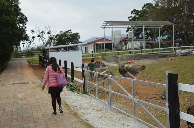 原生應用植物園26