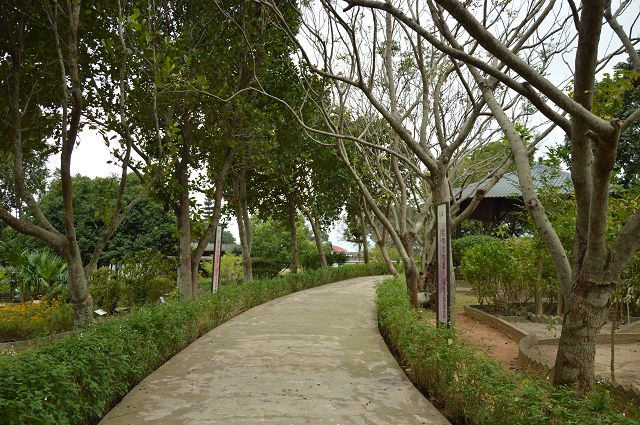 原生應用植物園05