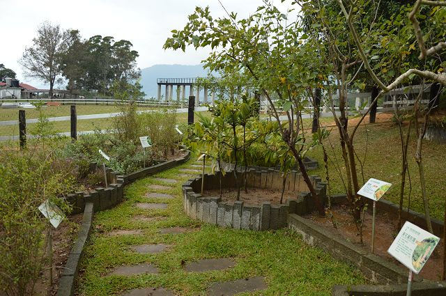 原生應用植物園24