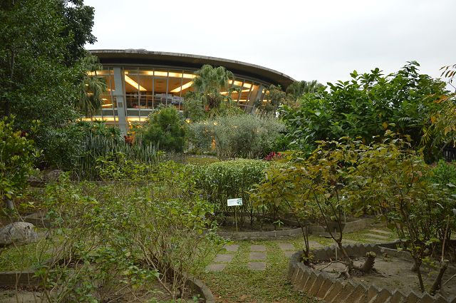 原生應用植物園12
