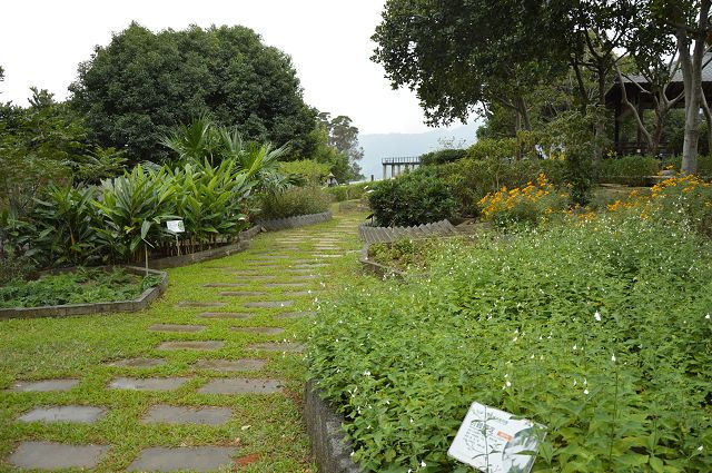 原生應用植物園08