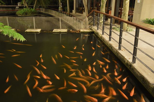 原生應用植物園38