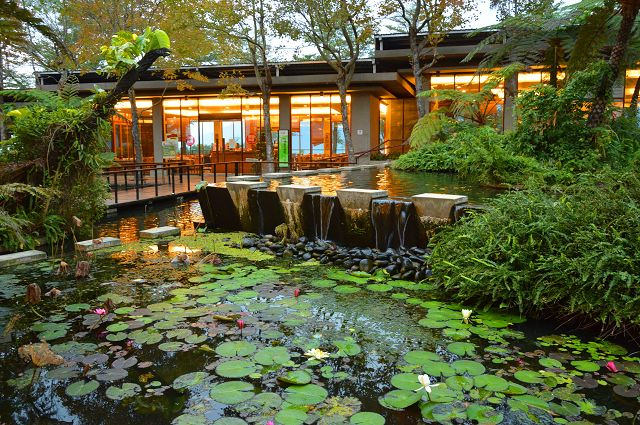 原生應用植物園01