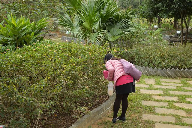 原生應用植物園11