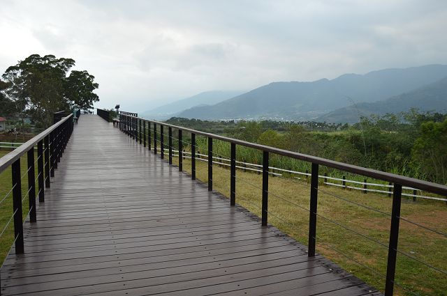 原生應用植物園16